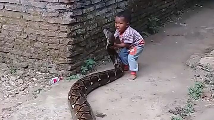 These kids have no fear of the snakes at all!