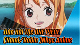 Đảo Hải Tặc ONE PIECE|[Nami/Robin ] Đã bắt được 1 Nami bé nhỏ, tôi là Shintei Lu