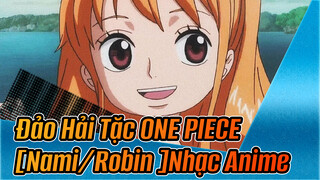 Đảo Hải Tặc ONE PIECE|[Nami/Robin ] Đã bắt được 1 Nami bé nhỏ, tôi là Shintei Lu