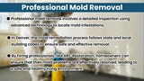 Mold Removal Denver