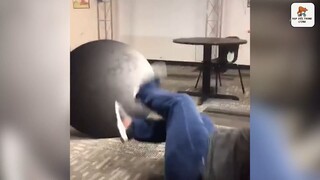 VIDEO HÀI HƯỚC SIÊU GIẢI TRÍ ! - Part 2 #DarkMeme