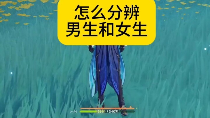 Genshin Impact teaches you how to distinguish boys and girls in a new world?