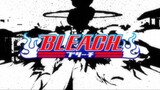Bleach (Eng Dub) Episode 291