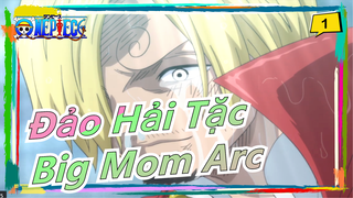 [Đảo Hải Tặc/Arc Big Mom] Máu và nước mắt của Đảo Bánh Ngọt|Không có cậu tôi không thành Vua_1