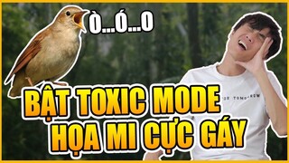 Throwthi Bật Toxic mode chửi cả thể giới