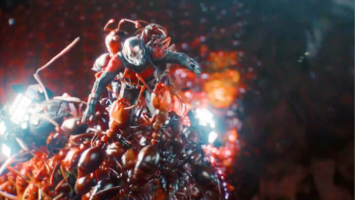 Đây có phải là sự thống trị từ Ant-Man?