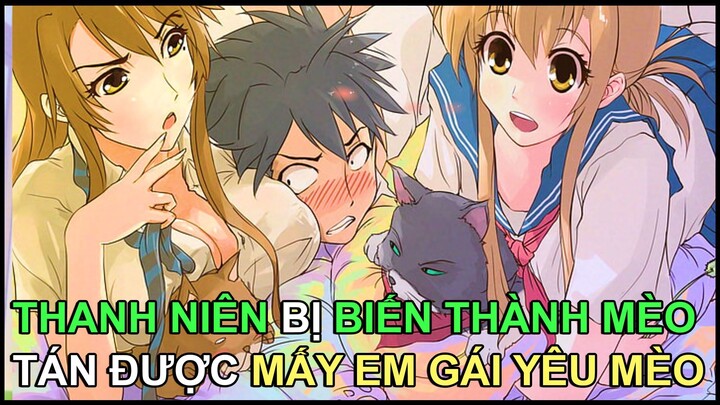 Thanh Niên Biến Thành Mèo Để Tán Gái | Tóm Tắt Anime
