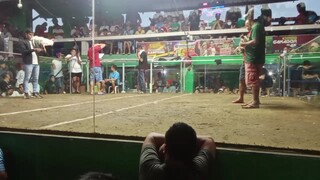 champion 2hits, patay ngalang si puti