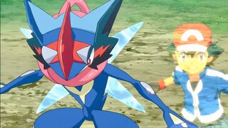 That day, we still didn't know how the water-attributed Greninja lost to the fire-attributed Chariza