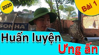 [Hùng Hunter]- Huấn luyện ưng ấn ( bài 1)