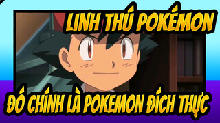 [Linh thú Pokémon/AMV] Đó chính là Pokemon đích thực trong tâm trí chúng ta