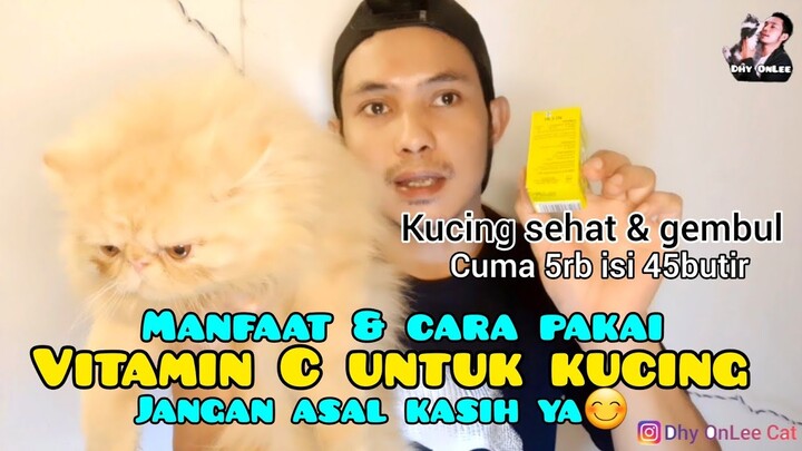 VITAMIN C UNTUK KUCING - vitamin untuk imun kucing / vitamin daya tahan tubuh kucing
