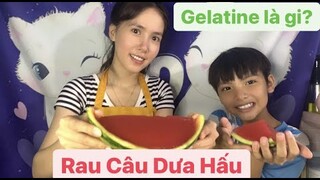 Cách Làm Rau Câu Dưa Hấu Bằng Gelatine Tý, Lũng Nhiệt Tình Giúp Cô Út Làm. Dịch Ở Nhà Vẫn Vui.