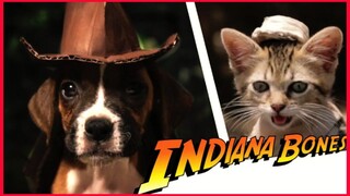 Indiana Bones / Raiders Of The Lost Bark.