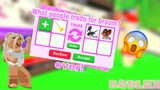 WHAT PEOPLE TRADE FOR 2 BROOMS? (Roblox) Adopt me!