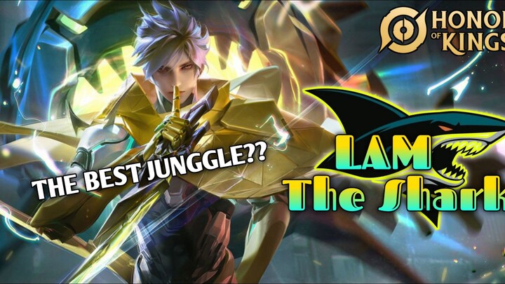 JUNGGLER INI COCOK BUAT PEMULA ?!?! || PERFECT GAMEPLAY LAM - HONOR OF KING