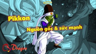 [Hồ sơ nhân vật]. Pikkon - Nguồn gốc và sức mạnh