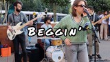 (คลิปแสดงสด) Beggin' เพลงฮิต แสดงสดตามท้องถนนของไอร์แลนด์