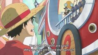 Luffy du*b/funny moment