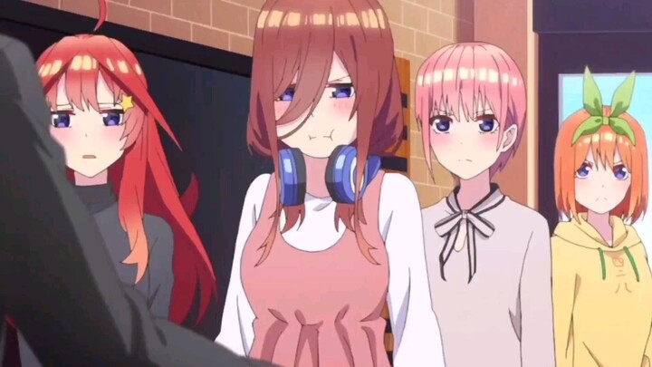 The Quintessential Quintuplets Who do you choose?