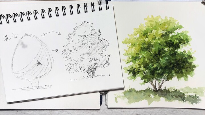 [Watercolor Tutorial] How to draw a tree/Thinking analysis and steps of drawing a tree/Explanation w