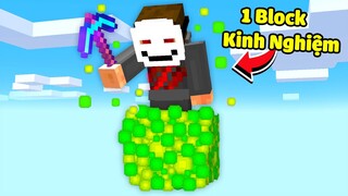 Minecraft nhưng Sinh Tồn trên 1 Block Kinh Nghiệm