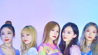 [Grandson Group] Summer short skirt feast! Gidle-DumdiDumdi dance cover in macaron colors