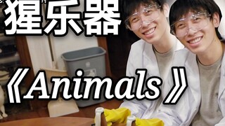 【中国Boy】Animals