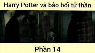 Harry Potter và bảo bối tử thần phần 14