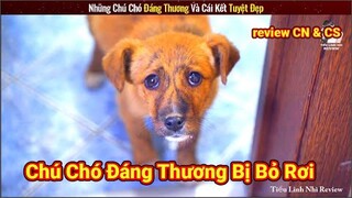 Chú Chó Đáng Thương Bị Chủ Nhẫn Tâm Bỏ Rơi Và Cái Kết Tuyệt Đẹp || Review Con Người Và Cuộc Sống