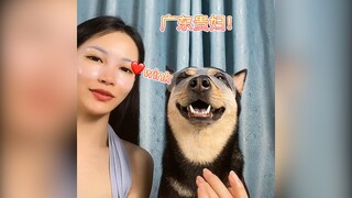 Một chiếc chó điệu đà (P15) | MYPET