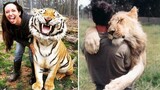 Best Of Wild Big Cats - Cute And Funny Tiger & Lion Video | Pet Squad