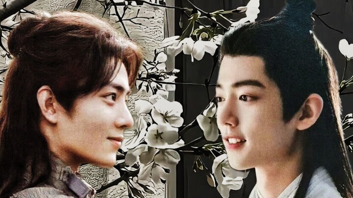 [Xiao Zhan Narcissus | Three Shadows] Postscript to "Mirror of Tears" 1 || "Don't let him cry, make 