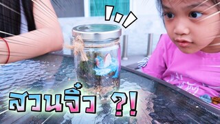 สวนจิ๋ว !! พี่ดรีมพาทำสวนในขวดแก้ว ของใครสวยที่สุด - DING DONG DAD