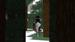 Minecraft : Skeleton and Stray