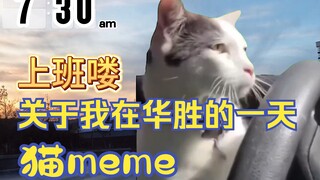 【猫meme】领导说每一个赞就给我一毛钱奖金