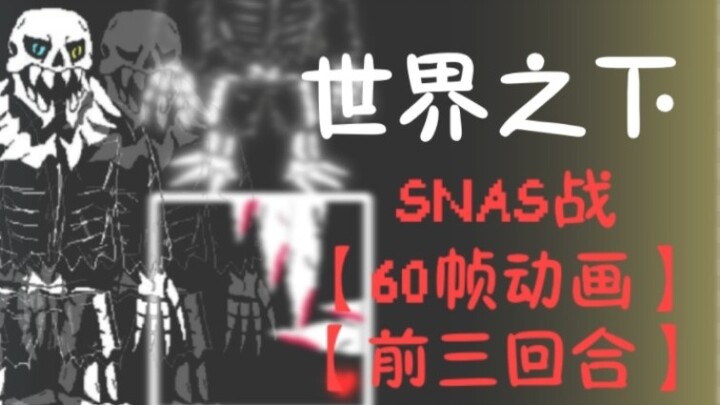 Trận chiến SNAS dưới thế giới [60 khung hình hoạt hình] [Ba vòng đầu tiên] [Bỏ rơi]