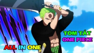 ALL IN ONE: BĂNG MŨ RƠM ĐỤNG ĐỘ HẢI QUÂN NEO | TÓM TẮT ONE PIECE