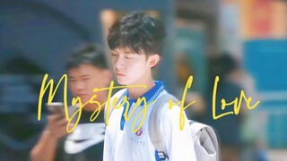 “他身上有个不可战胜的夏天”｜｜𝑴𝒚𝒔𝒕𝒆𝒓𝒚 𝒐𝒇 𝑳𝒐𝒗𝒆