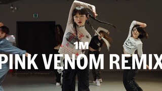 【1M】Redy 编舞《Pink Venom Remix》