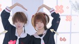 [66x Malt] Cardcaptor Sakura op ʚෆɞ CLEAR