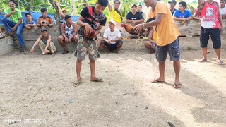 DALUSAPI VS ALIMBUYUGIN #SABONG