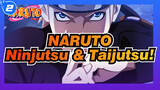 NARUTO|【Epic Compilation/AMV】A visual feast of Naruto Ninjutsu and Taijutsu!_2