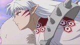 Kagome: Sesshomaru, tôi vừa gọi 'anh trai', bạn TM ...