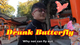"Drunken Butterfly" của Thôi Vỹ Lập bản dịch theo nghĩa đen tiếng Anh