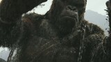 Kong Skull Island