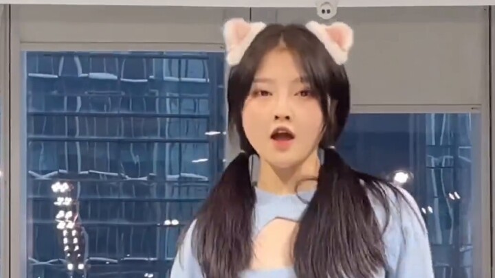 【Panda Cat】Vertical version of Meow Miss Bunny❤️ guarantees that she will dance perfectly.