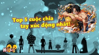 Top 5 cuộc chia tay xúc động nhất trong One Piece!