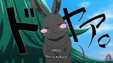 Kukuru the Bunny | The Wrong Way to Use Healing Magic Ep. 3