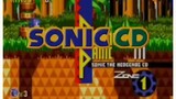 Sonic Bunuh Diri?